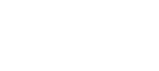 BlackCat Security Logo White